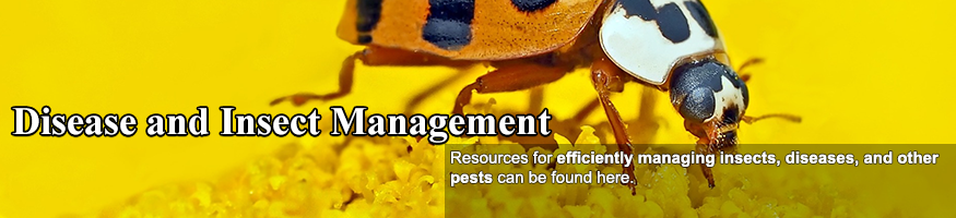 Disease and Insect Management